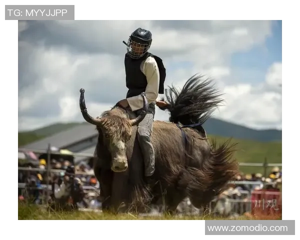 足球明星勇敢跳下高墙挑战极限 展现超凡胆量与决心